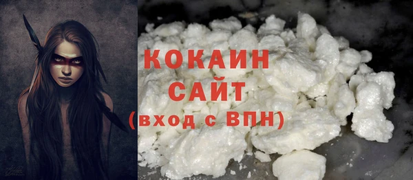 шишки Абаза