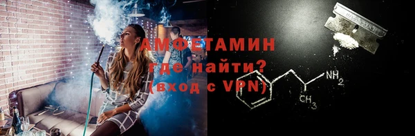 шишки Абаза