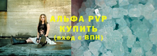 шишки Абаза
